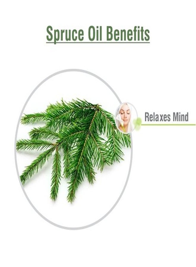 سالفيا زيت التنوب (Tsuga canadensis) زيت عطري علاجي مع قطارة، زجاجة كهرمانية، طبيعي 100%، نقي، غير مخفف، معصور على البارد، زيت عطري فاخر - 15 مل / 0.5 أونصة سائلة - Image 3